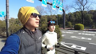 2024东京马拉松赛后复盘跑  皇居  东京街道 Virtual Run [upl. by Phebe]