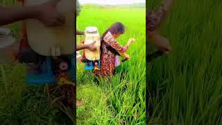 மருந்து அடிப்பு முறை 👋🌿🌴👍sortsvideo [upl. by Lockwood]