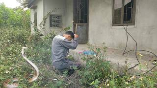 Scary Hidden Dangers of Cleaning Abandoned Houses with Overgrown Grass [upl. by Tyika]