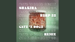 Shakira  Bzrp 53 Catz N Dogz Remix [upl. by Diego237]