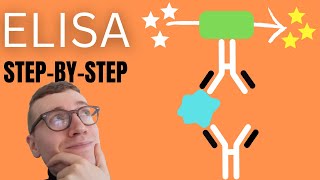 4 Steps of ELISA EnzymeLinked Immunosorbent Assay Simply Explained [upl. by Atinas]