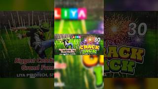 30 Shot Sky shot testing video  Crack Jack from liya fireworks  diwali ke patakhe shorts 30shot [upl. by Erwin684]