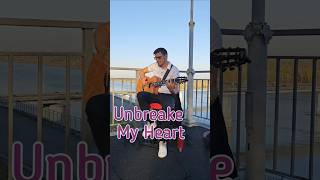 Unbreake My Heart  Tony Braxton  guitar solo cover [upl. by Ennayehc582]