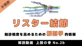 ＜解剖：リスター結節＞ 触診精度を高めるための情報 [upl. by Nmutua]