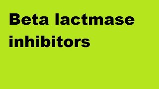 Beta Lactamase Inhibitors [upl. by Aver]