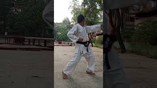 Karate second kata video Like and Subscribe [upl. by Assetan]