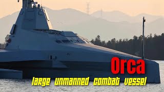 Is Chinas large combat unmanned vessel “Orca” an unmanned version of 055 [upl. by Yliram]