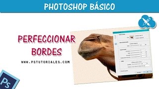 Recorte con perfeccionar borde de Photoshop [upl. by Swan]