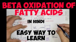 Fatty Acids Glycerol and Lipids  Biochemistry [upl. by Weldon]