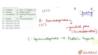 Match the following with reference to cockroach and choose the correct option APhallomere [upl. by Broadbent]