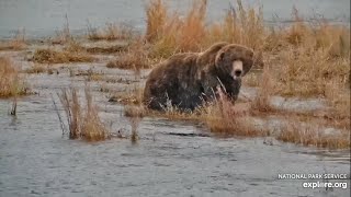 747 in the Lower River  October 3 2024 exploreorg [upl. by Pascia]