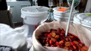 How To Make Crab Apple wine cider amp 57 Gallons Of Wine Homebrew Wednesday 77 [upl. by Nnaira]