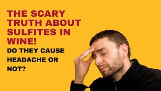 The Scary Truth About Sulfites in Wine Do They Cause Headache or Not [upl. by Corvese203]