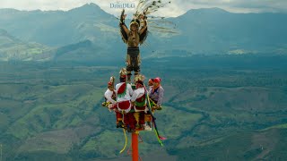 Los voladores de filomeno mata veracruz [upl. by Niuq]