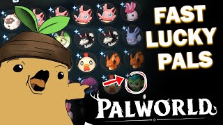 BEST Lucky Hunting Method  Palworld [upl. by Nanyk]