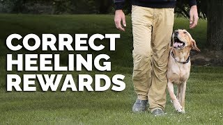 The Importance of Rewarding Your Dog Correctly When Heeling [upl. by Atterg]