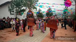 Fiesta de San Sebastian en Zinacantan Chiapas [upl. by Legge]