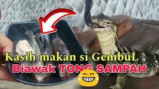 MEMBERI MAKAN BIAWAK PELIHARAAN  GEMBUL SI BIAWAK TONG SAMPAH [upl. by Moran]