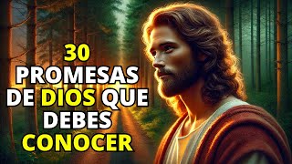 30 PROMESAS de DIOS Más Poderosas en la BIBLIA  Enseñanzas de Jesús [upl. by Nivlam900]