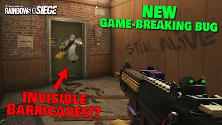 NEW GAME BREAKING BUG Invisible Barricades Rainbow Six Siege [upl. by Ynnaj]