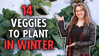 14 Veggies You Can Plant in Winter [upl. by Aniham]