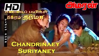 Natchathira Jannalil Video Song  Suryavamsam Tamil Movie  Sarath Kumar  Devayani  SA Rajkumar [upl. by Moclam831]