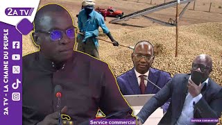 Campagne agricole lanalyse pertinente de Mansour DIOP sur les mesures du [upl. by Eilojne]