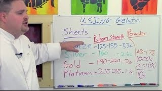 Understanding Gelatin Sheets V Powder Pt 1 of 3 [upl. by Atteuqahc]