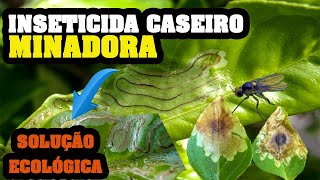 Elimina Larva MINADORA das Folhas e dos Cítricos Inseticida CASEIRO para Plantas [upl. by Oravla784]