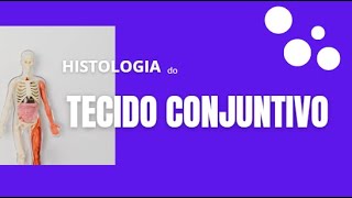 Tecido Conjuntivo  Histologia [upl. by Leona942]