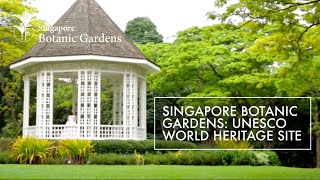 Singapore Botanic Gardens UNESCO World Heritage Site [upl. by Roxi]