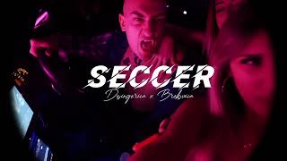 DESINGERICA X BRESKVICA X ZORANA MICANOVIC TYPE BEAT quotSECCERquot  Prod by Birke [upl. by Travax433]