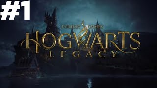 SAATNYA MASUK KE ASRAMAHOGWARTS LEGACY indonesia 1 [upl. by Roi]