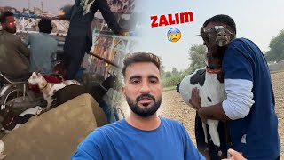 Hamari Goats Kay Sath Bahut Zulm Hoa 😥 [upl. by Nilyram]