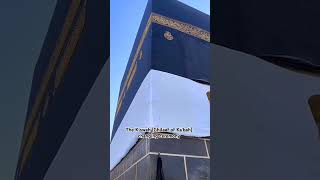 The Kiswah Ghilaaf of Kabah changing ❤️ kaaba islam [upl. by Alex246]