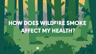 Wildfire Smoke and Health [upl. by Gavin]