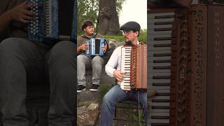 Le Reel de Bellechasse  Musique Traditionnelle Québécoise reel montreal quebec folkmusic duet [upl. by Assirak]