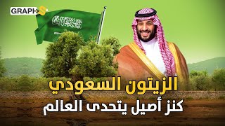 نفط السعودية الأخضر ملايين أشجار الزيتون تزرع في الصحاري [upl. by Malarkey]