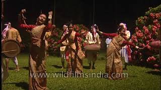 Assamese folk dancers perform Bihu dance [upl. by Noswad417]