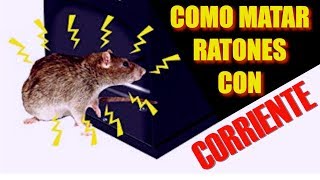 Como Electrocutar Ratas [upl. by Enilasor]