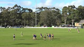 Berwick Vs Surrey Park Womens Qtr 2 [upl. by Esilahc486]