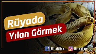 Rüyada Yılan Görmek Ne Anlama Gelir Rüyada Yılan Nedir [upl. by Anilev8]