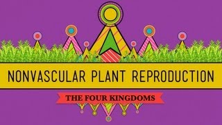 The Reproductive Lives of Nonvascular Plants Alternation of Generations  Crash Course Biology 36 [upl. by Shrier]