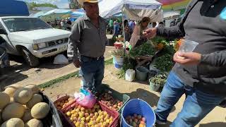 MERCADO ORGANICO 🥬🥦🥒 DE HUAJUAPAN DE LEON [upl. by Yoshi]