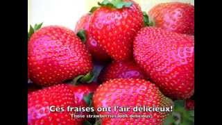 FrenchEnglish Learn about Fruit [upl. by Ellevart]