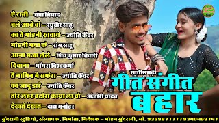 गीत संगीत बहार  Geet Sangeet Bahar  Maya Hoge Na  Audio Jukebox  CG Song  Video world 2024 [upl. by Ardine]