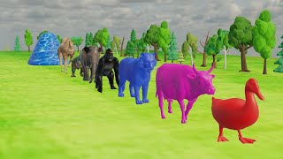 Long Slide Game With Elephant Gorilla Buffalo Hippopotamus Tiger  3d Animal Game  Wild Animals [upl. by Netta547]