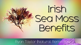 Irish Sea Moss Benefits and Uses [upl. by Ydieh]