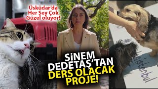 CHPli Üsküdar Belediye Başkanı Sinem Dedetaştan okullara ders olacak proje [upl. by Gery881]