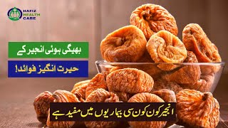 Anjeer khane ke fayde injeer ka fayda in urdu and hindi  hafizhealthcare [upl. by Newberry906]